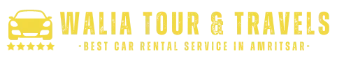 walia tour and travels logo